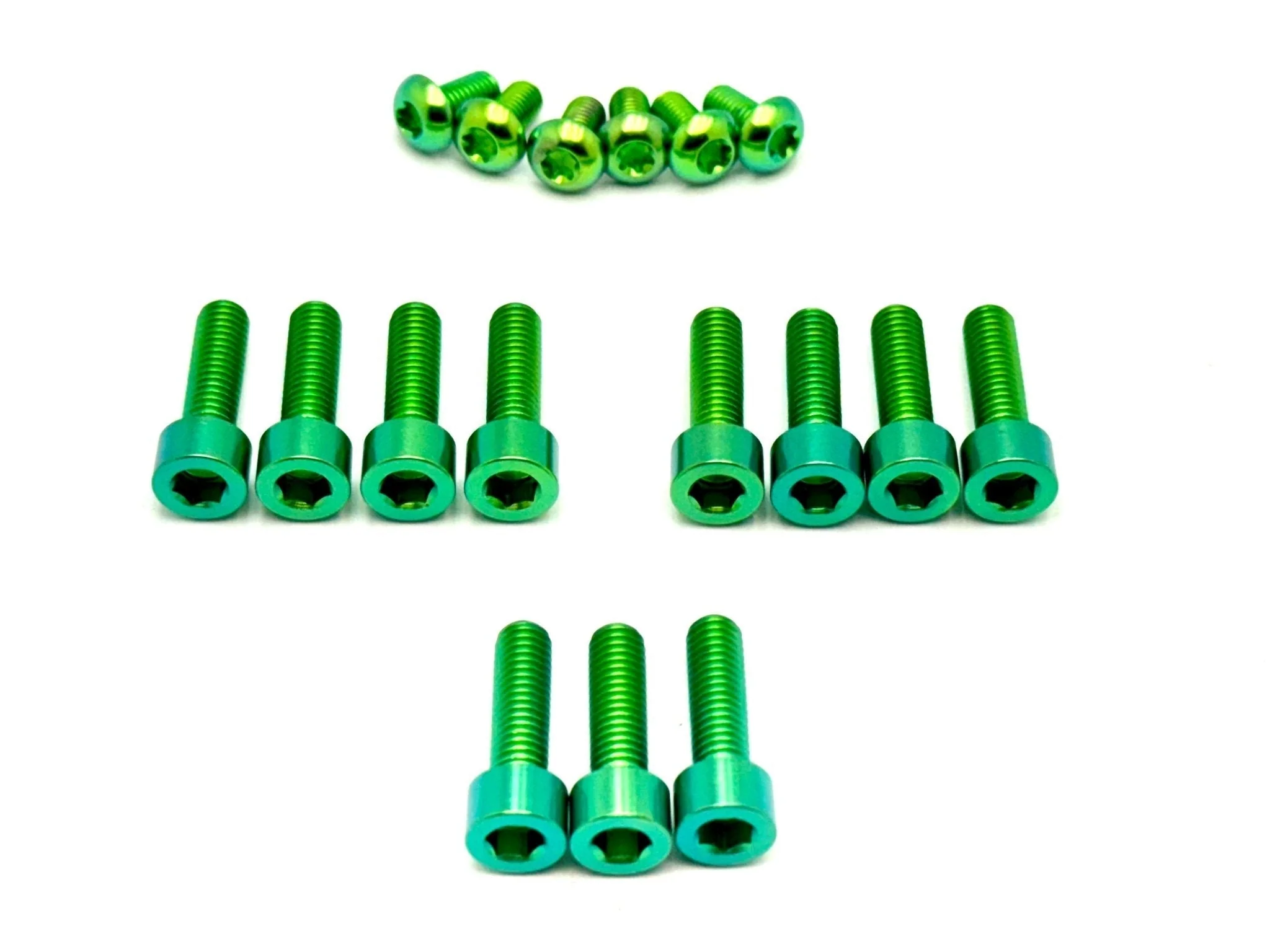 Titanium Bolt Kit for E-Ride Pro SS 3.0 Factory FastAce Fork (ALX32RC) - Image 4