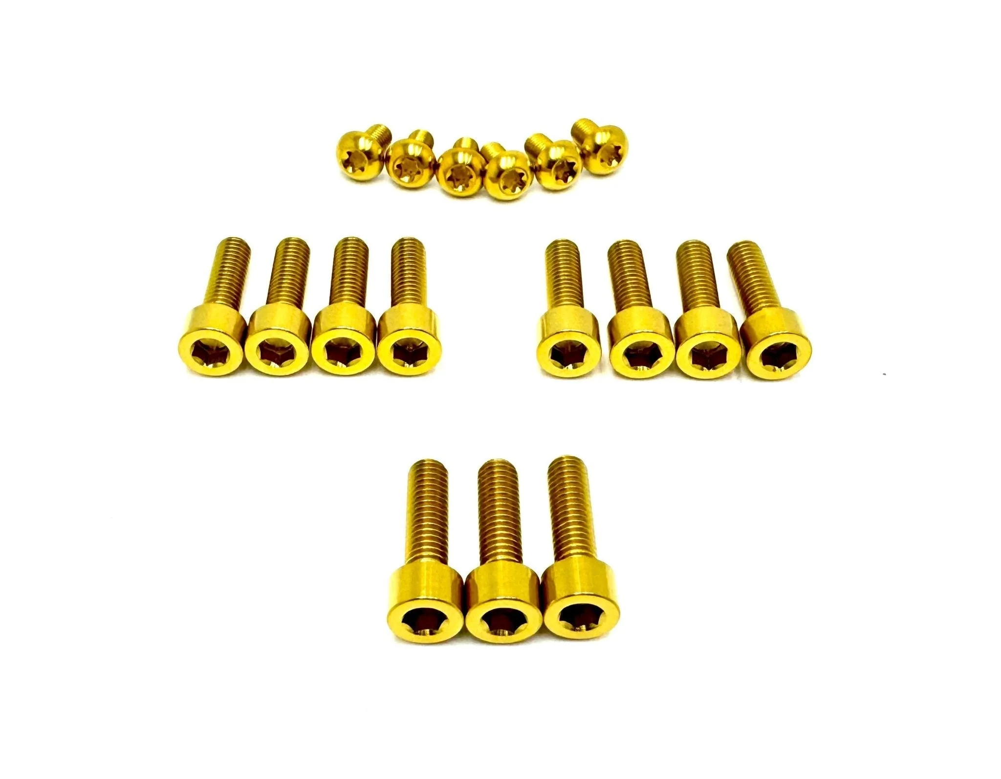 Titanium Bolt Kit for E-Ride Pro SS 3.0 Factory FastAce Fork (ALX32RC) - Image 5