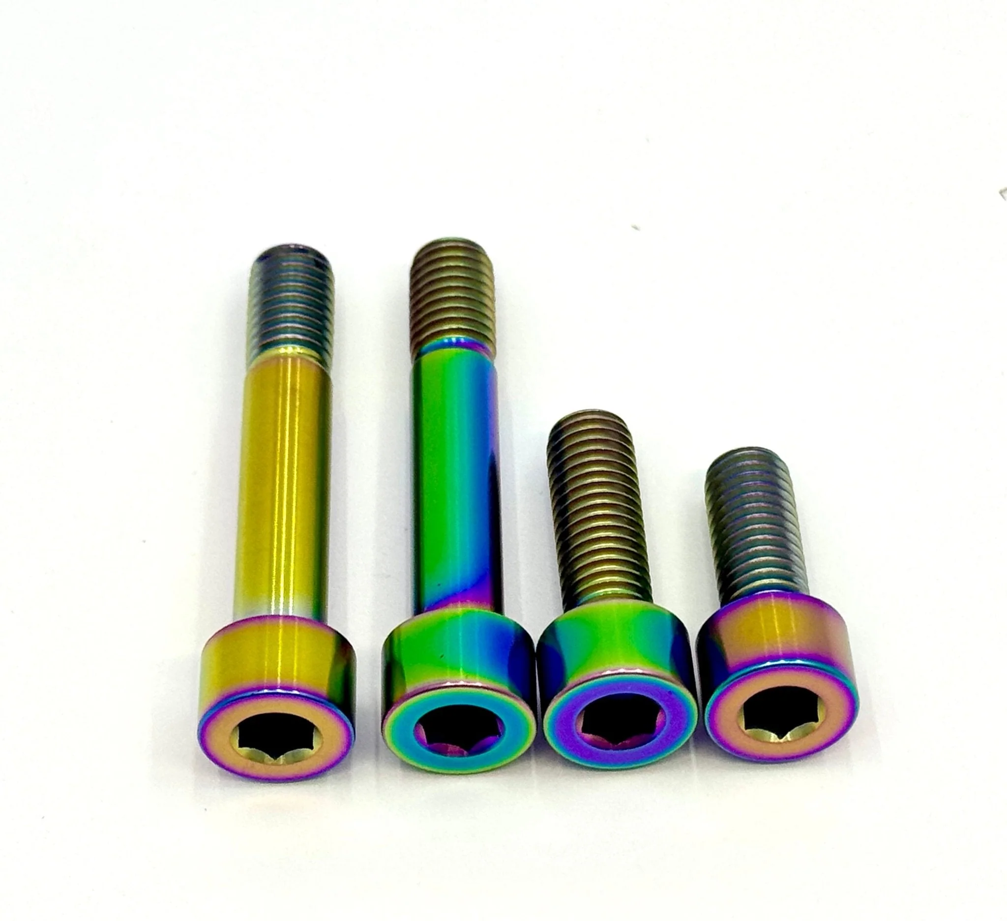 Titanium Motor Bolts - E-Ride Pro ERP