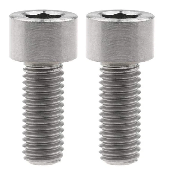 Titanium Motor Bolts - Rerode R1 - Image 8